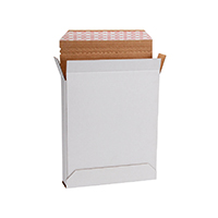 Located on Catalog Page 201.
